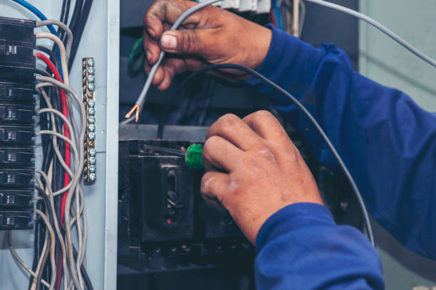 Best Ceiling Fan Installation Electrician  in Bronte, TX